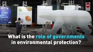 What is the role of governments in environmental protection?