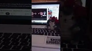 watching his stream while making flowers #vtuber #fuzzywireflowers #envtuber #freodore