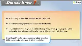 Did You Know | Morphology of Flowering Plants | Biology | Class 11th | iPrep