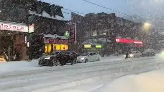 Toronto Snow Fall January 25 2026