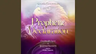 Prophetic declarations 01 (feat. Ijeoma Nwachi)