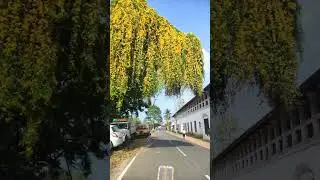 Wow Happy journey