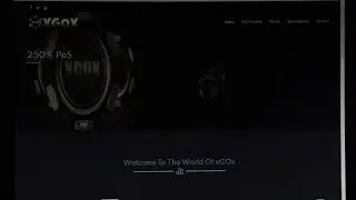 Musiccoin и XGOX pos Mining