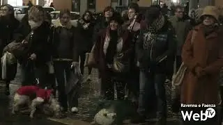 La benedizione degli animali in Piazza del Popolo a Faenza