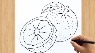 How to Draw an Orange Fruit Easy Step by Step | Orange Drawing Tutorial البرتقالي