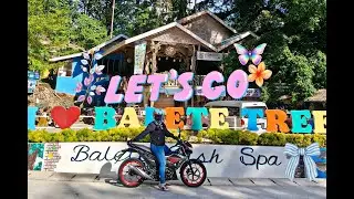 Balete Tree in Siquijor #SiquijorDrive #IslandAdventures #roadtripvibes #travel #goodvibes #dji