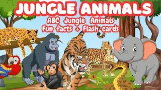 JUNGLE ANIMALS for Kids  | Fun Facts & Flashcards |Toddelr and Kids Learning Video