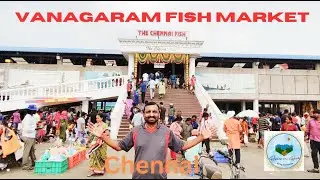 One of the biggest Fish Market in Chennai | Vanagaram Fish Market #travel #food #seafood #tasty