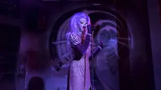SALLY tm - Sally Stupid