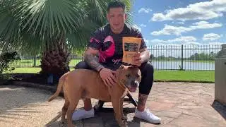 CBD for dogs - Pure Mana CBD Dog Treats