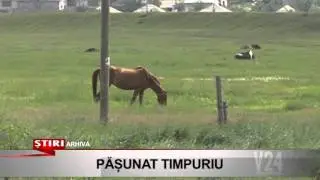 pasunat timpuriu