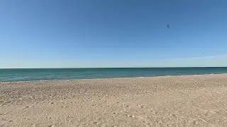NATURE BREAK | RELAXING DAY AT THE BEACH | SOOTHING WAVES