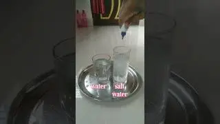 Salt water and fevicol reaction #science #scienceexperiment #amazingfacts #trending #shorts