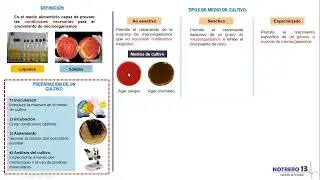 1 4 Diagnóstico de laboratorio   Cultivo in Vitro