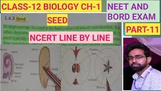 SEED,fruits, Parthenocarpic fruits -PART-11 FOR neet and Bord exam 