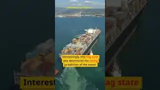 Open Seas, Hidden Flags: Ship Registration in International Waters #facts #dailyfacts #economy