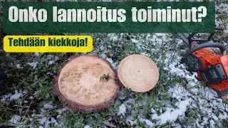 Onko kasvatuslannoitus toiminut?🌲