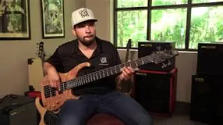 Signature Tone Series - Q5 Burl Maple