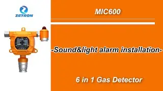 How to Installation the Sound&Light Alarm Light of Fixed Gas detector MS600