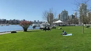 City of Vancouver proposes new luxury dog park