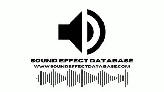 Birds Take Flight Sound Effect
