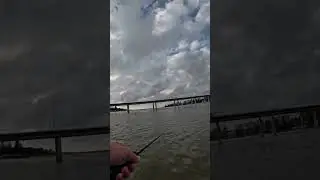 Fishing the central coast (Entrance) flats for some whiting with top water lures (sugar pen)