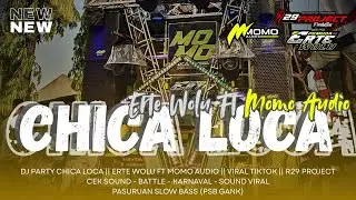 DJ PARTY CHICA LOCA || ERTE WOLU FT MOMO AUDIO PASURUAN || VIRAL TIKTOK || R29 PROJECT