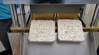 Rice Cake Machine SYP8080(S2) - T.  Coated Moulds & Switch Box Up-Position for UAE 240812