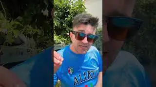 قصة صداقه تنتهي بسبب امرأة لكن  بشكل غريب