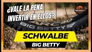 🤔 Обзор шин Schwalbe Big Betty: стоит ли в них инвестировать?