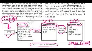 NCERT psychology hindi medium Human Memory part 2 hindi medium upsc psychology optional| Psycho IAS