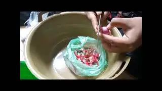 Creamy sauce (Kuah Lemak)||The richness of kuah lemak,full of flavor and delicious