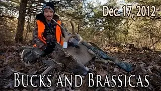 Hunting Deer Over Food Plots | Midwest Whitetail 2012