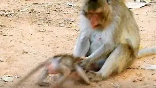 Break Heart When See Baby Hurt & Crying Loudly, Mom Fight Poor Baby Cry Loud Loudly.