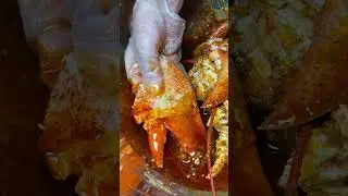 Biggest lobster claw! Angry Crab Shack in Henderson NV