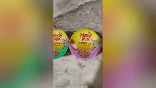 Meow Mix Cat Tenders in Sauce Review | Kitten Favorite