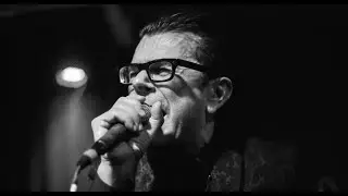 THE MIDNIGHT KINGS | Live at the WILD HONEY CHRISTMAS PARTY