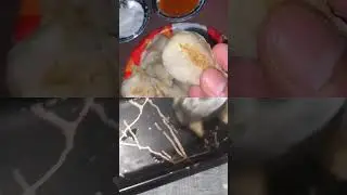 #yummymomos 🤤...