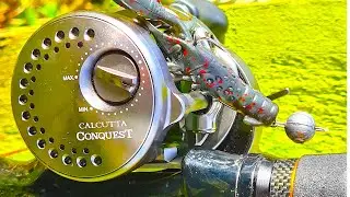 BFS PERCH ON CREATURE BAITS | 1 HOUR LURE FISHING CHALLENGE