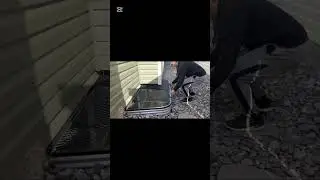 #basementwindowwell #diyhomeprojects #egresscover #shortshorts #shortsvideo