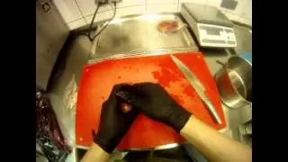 Vlet Azubi