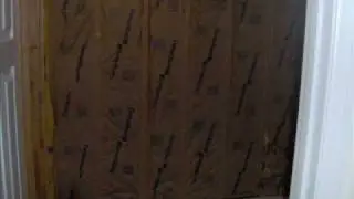Walkout Basement Finish