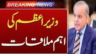 PM Shehbaz Sharif Meets Delegation of Swedish Telecom Company Ericsson | Breaking News