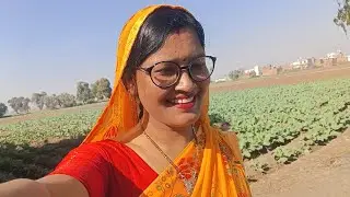 हमने किया खेत का दौरा ओर डॉग के बच्चों के साथ मस्ती