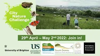 City Nature Challenge 2022 (University of Brighton promotion)