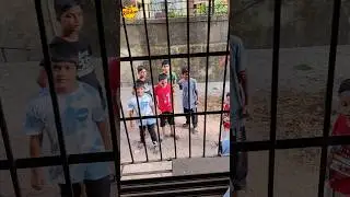 बिल्डिंग के बच्चो के साथ डील🤝😎 #chowmin #ufdkitchen #cloudkitchen #viralvideo #trending #viralsong