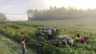 CannaTrade 2020 - proudly presented by Pure Holding AG
