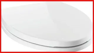 Great product -  Delta -Faucet Morgan Elongated Slow-Close White Toilet Seat with Non-Slip Seat Bump