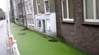 DELFT HOLLAND Green canals