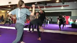 2019 Stunt Reel